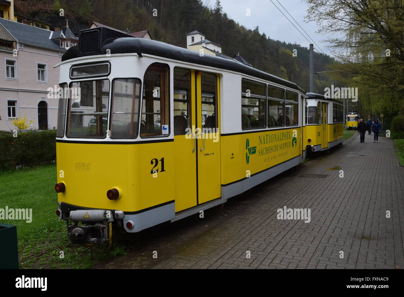 Deutschland, Sachsen, Bad Schandau. Kirnitzschtalbahn ländlichen Straßenbahn. 15. April 2016 Stockfoto