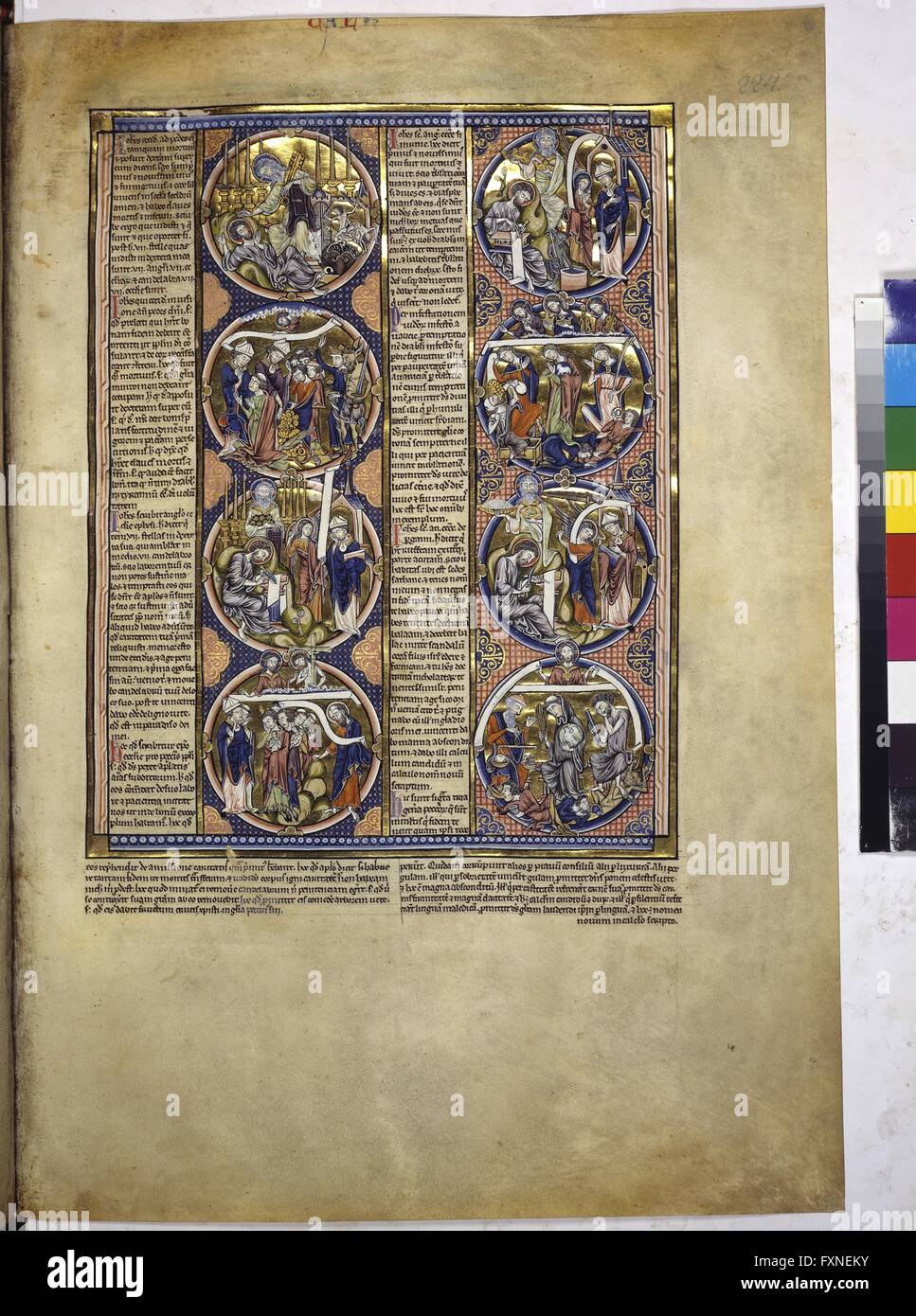Cod. 1179, fol. 224r: Bible Moralisée: Szenen Zur Apokalypse Stockfoto