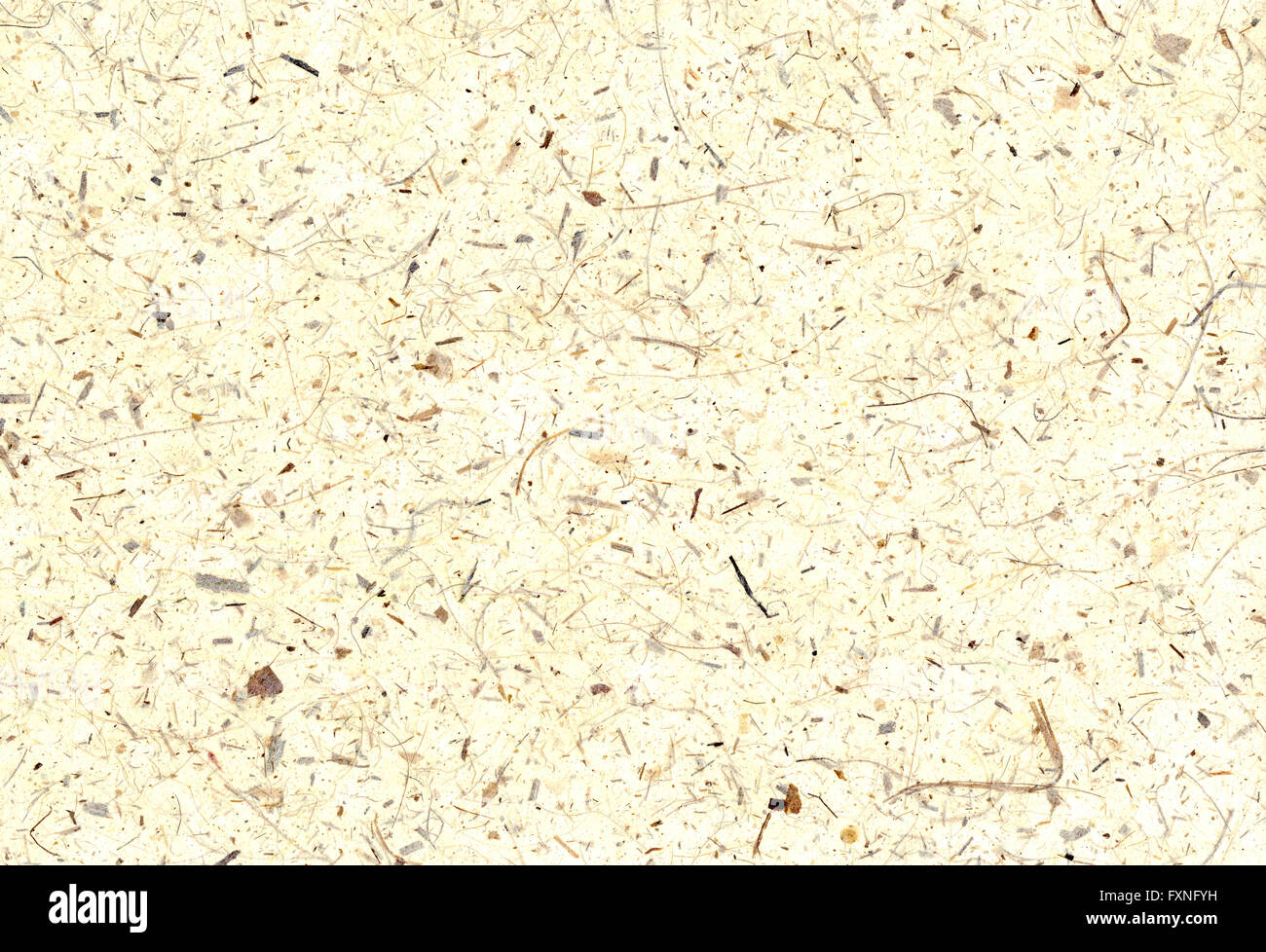 Natürliche Banane Papier Pflanzenfasern Stockfoto