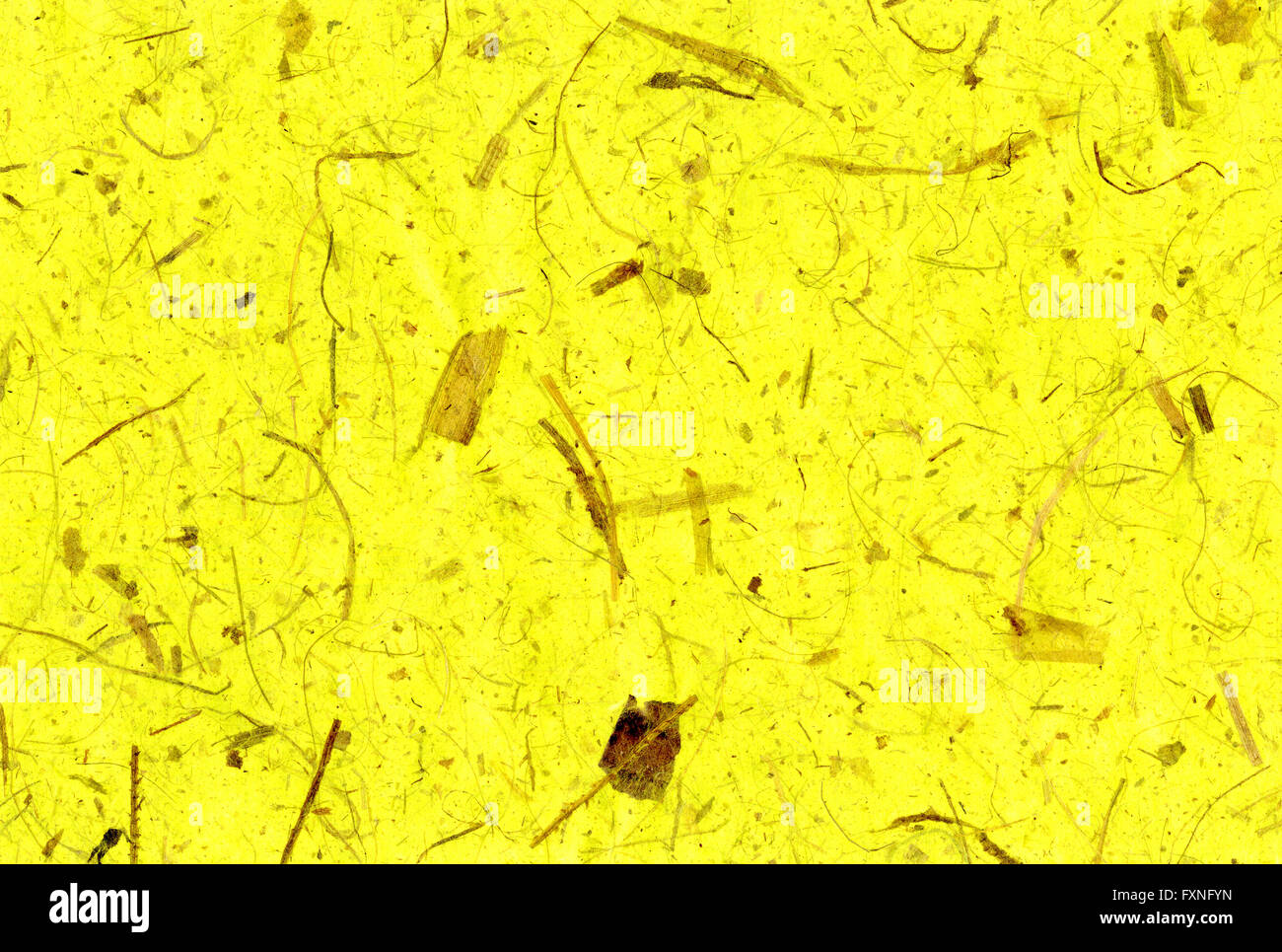 Gelbe Banane Papier Pflanzenfasern Stockfoto