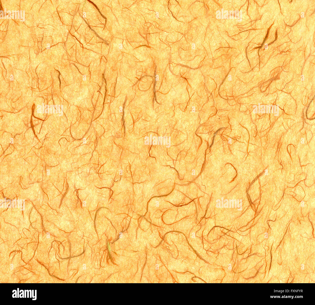 Stroh-Seide, Naturpapier mit Fasern des Maulbeerbaums Stockfoto