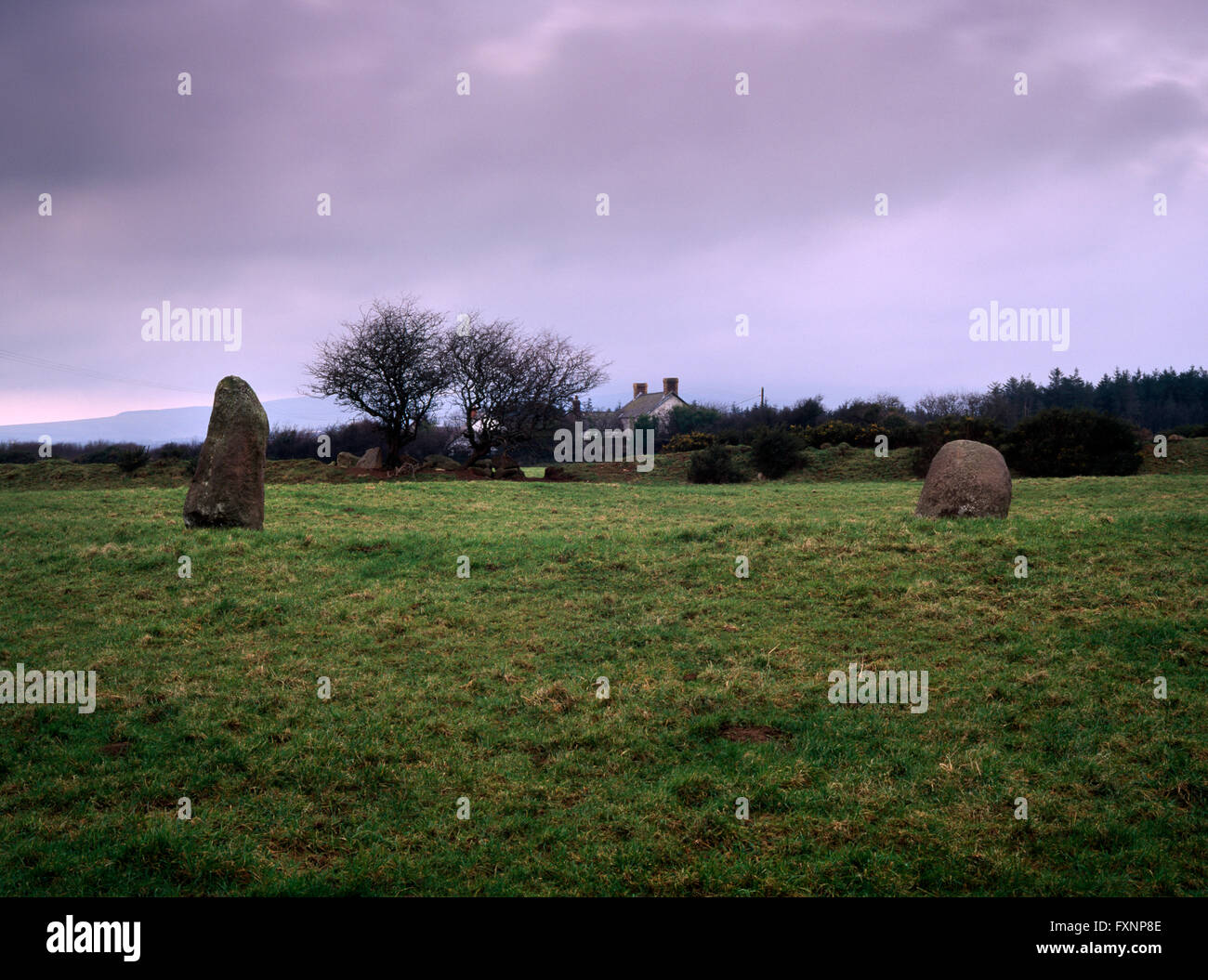 Meini Gwyr eingedeicht Steinkreis, Carmarthenshire: 2 Steinen Überleben von 17 oder mehr bilden einen 60ft ø Ring innerhalb einer Bank mit Eingang bei NW. Stockfoto