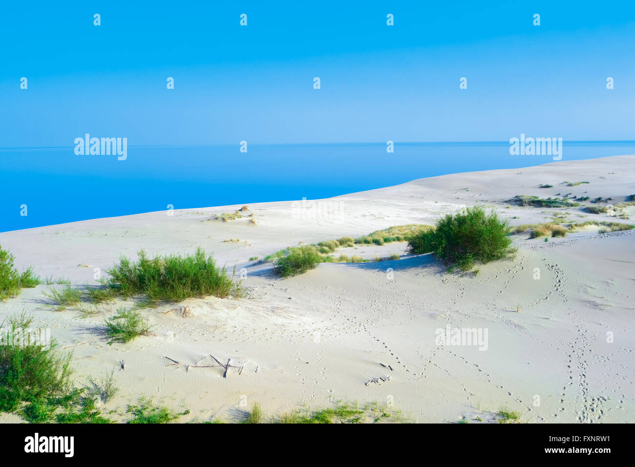 Sommer Landschaft mit weißen Sanddünen, Büschen und Himmel. Kurische Nehrung, Ostsee. UNESCO-Weltkulturerbe. Stockfoto