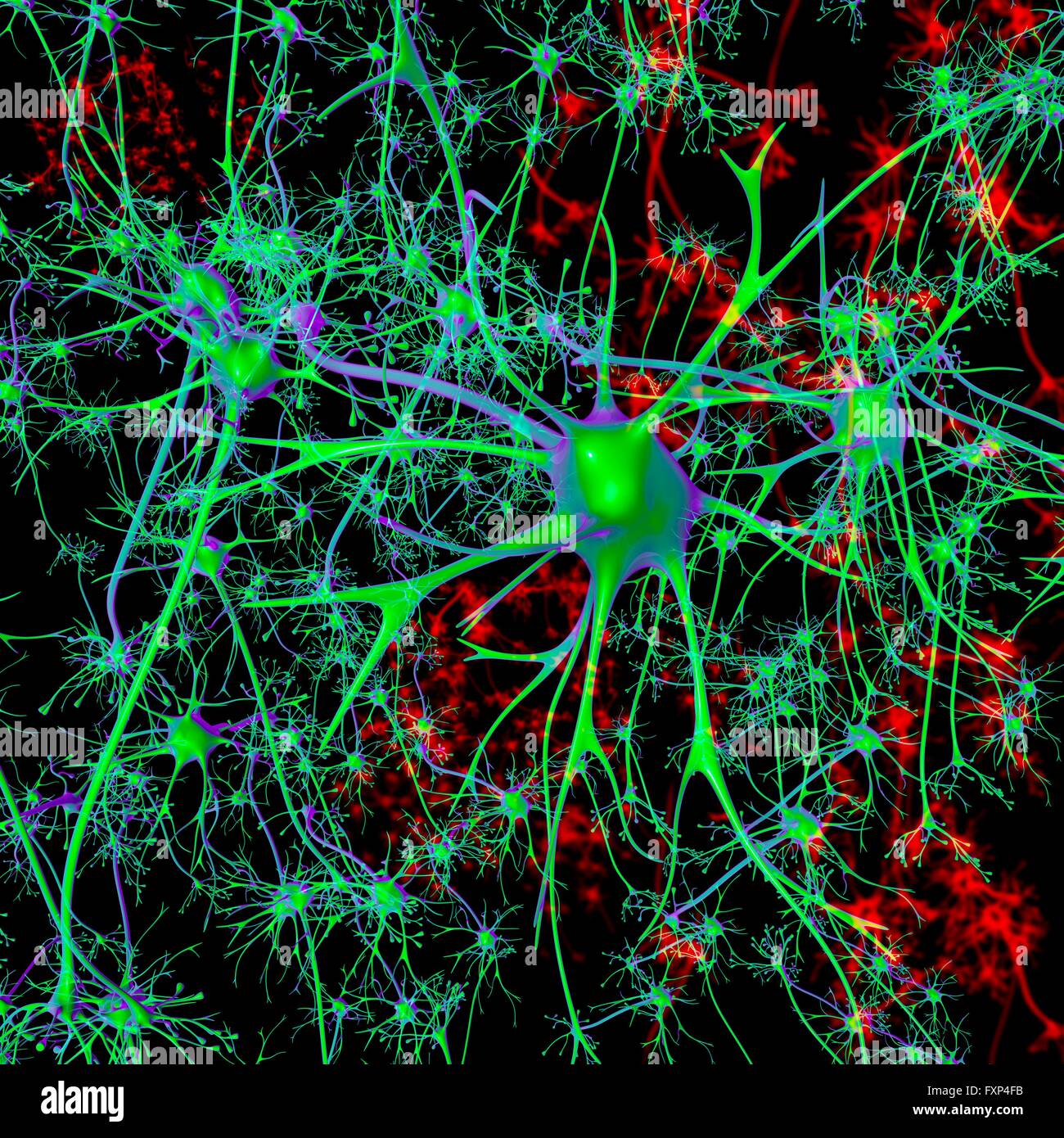 Neuron, Computer Bild. Stockfoto