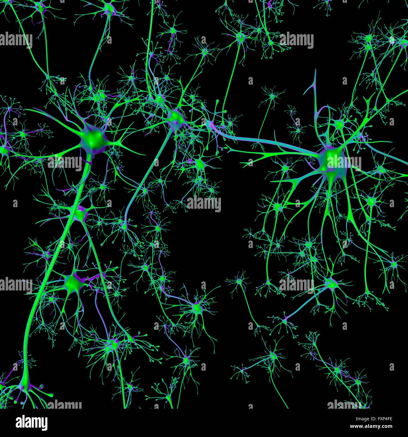 Neuron, Computer Bild. Stockfoto