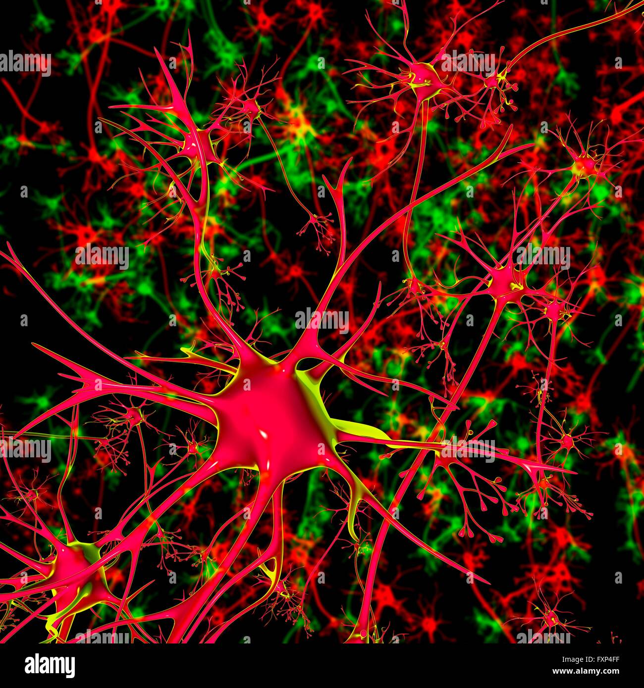 Neuron, Computer Bild. Stockfoto