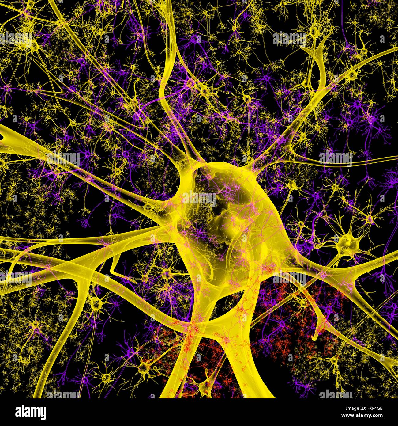 Neuron, Computer Bild. Stockfoto