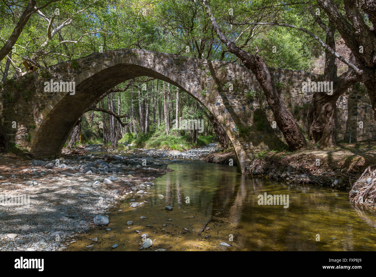 Tzielefos-Brücke ist eine schöne und malerische Brücke, als eines der mittelalterlichen Brücken zwischen Elia und Roudia verbessern Stockfoto