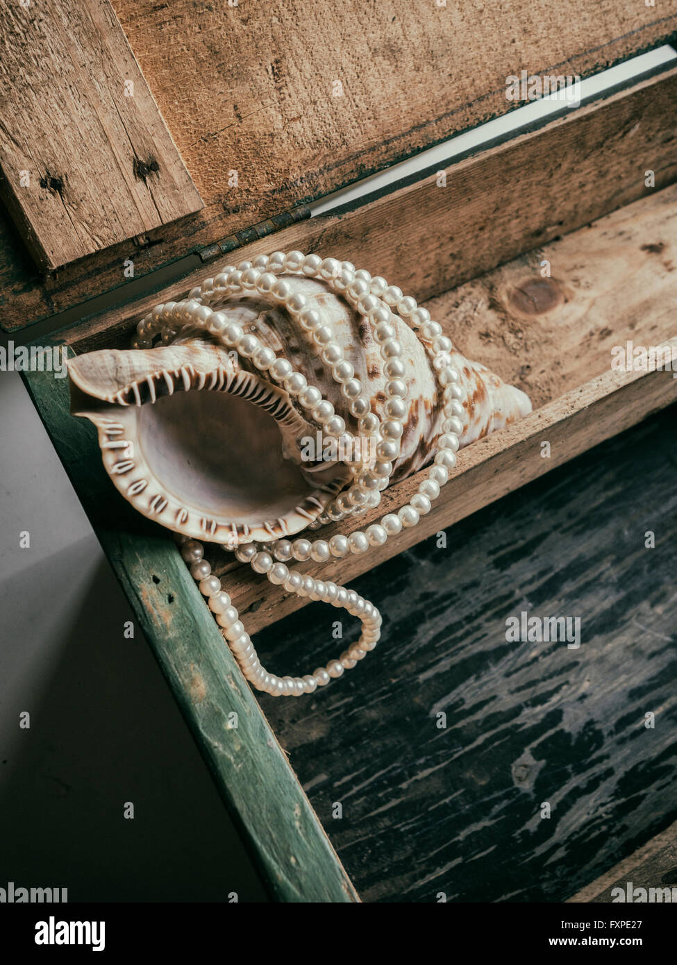 Muschel mit einer Perlenkette in einer Holzkiste verpackt Stockfoto