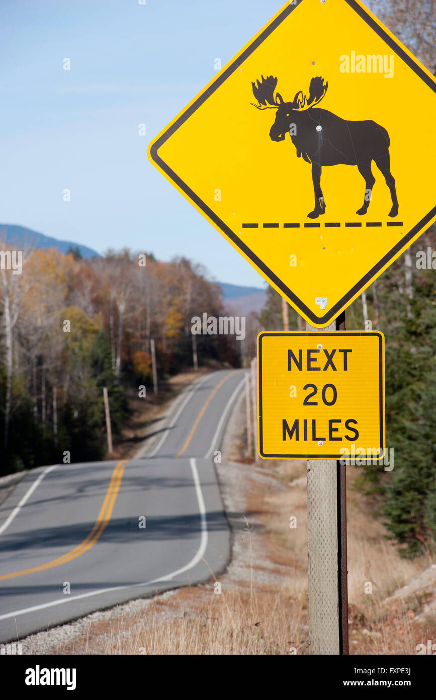 Moose Crossing Zeichen entlang der Autobahn Stockfoto