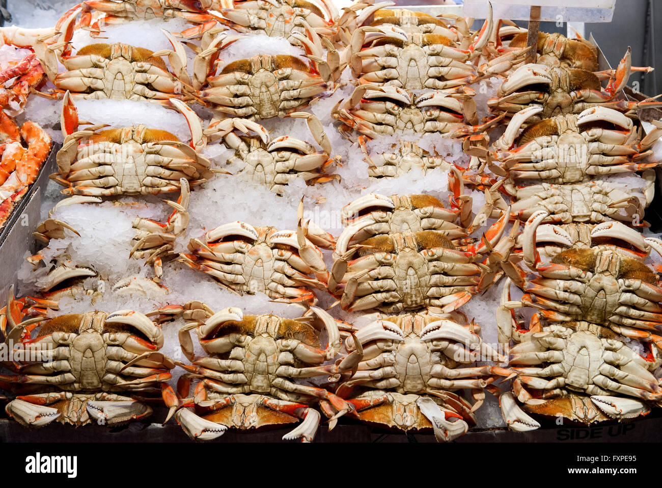 Frische Krabben auf dem Eis im Markt Stockfoto
