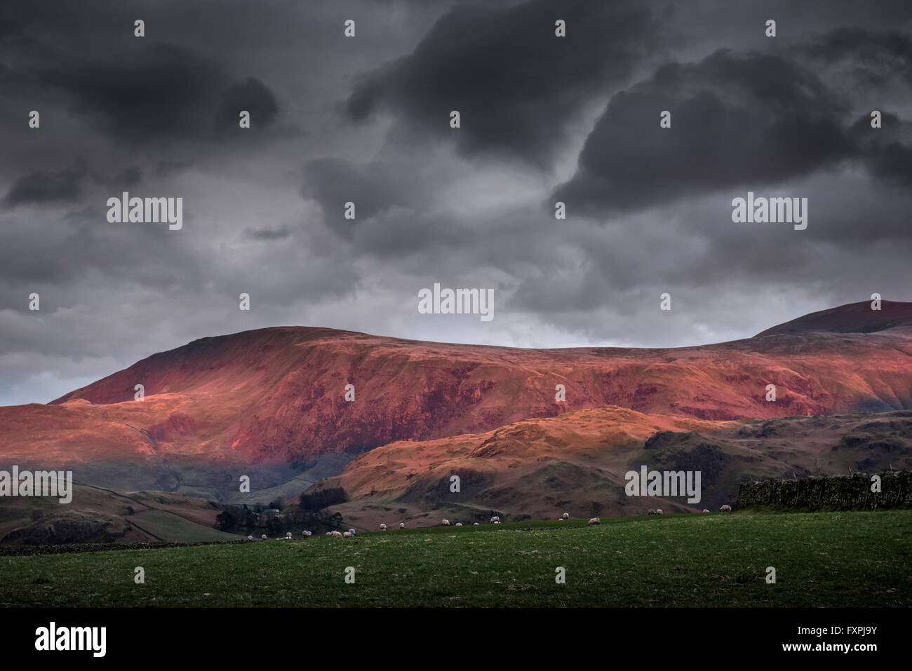 Die schwindenden Licht auf den Fjells und die Berge des Lake District in der Nähe von Keswick, Cumbria, UK Stockfoto