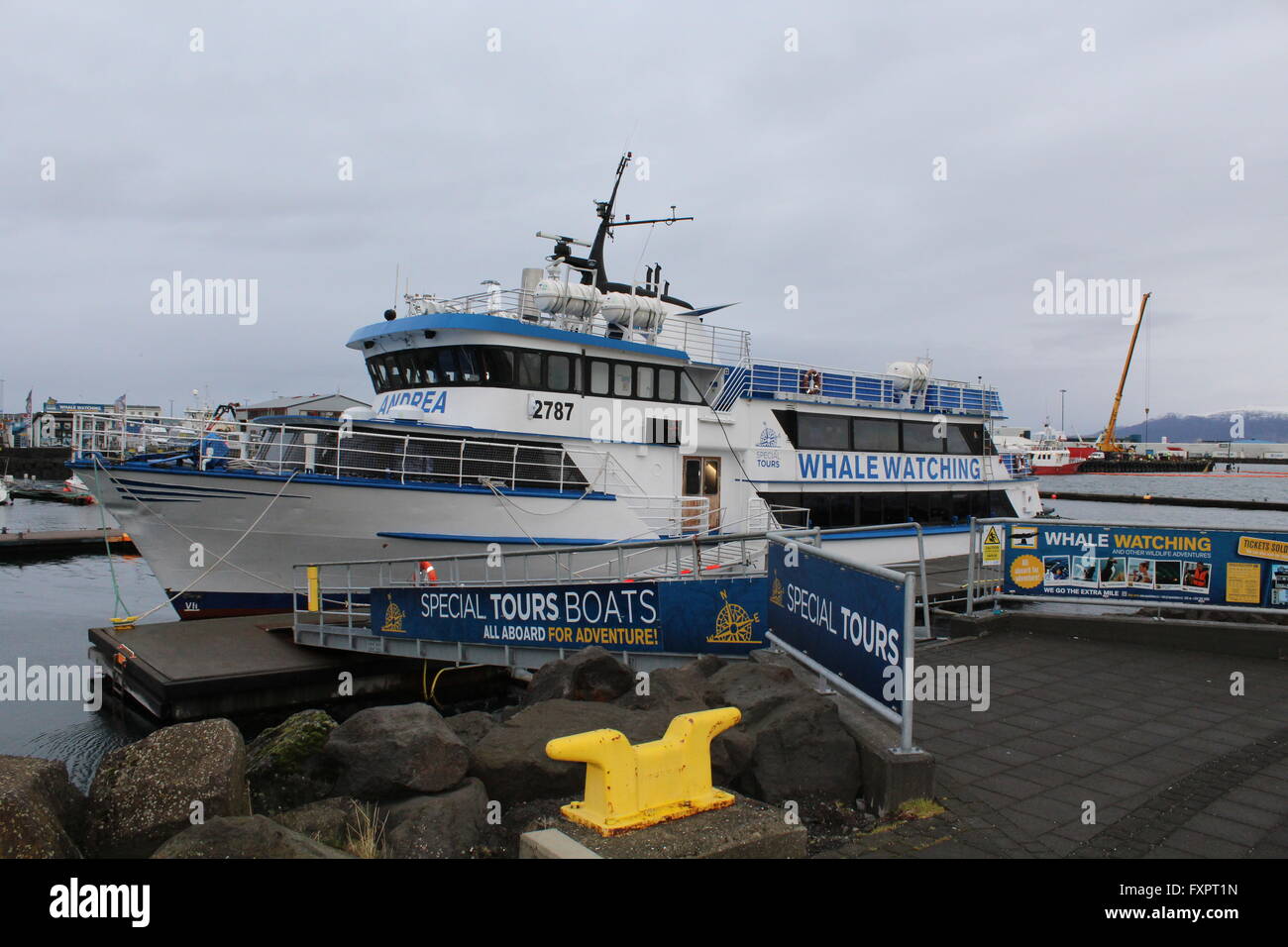 Im Hafen von Reykjavik, Island ist eine Whale-watching Boot angedockt. Stockfoto