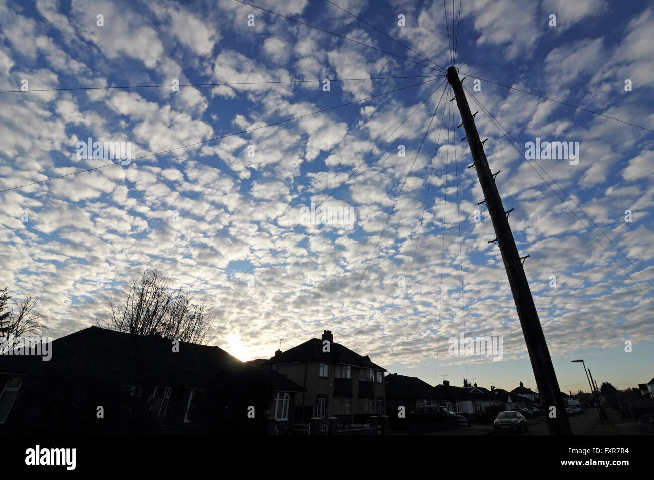 Epsom, Surrey, England, UK. 18. April 2016.  Ein schöner Morgen in Epsom Surrey mit ein spektakuläres Feuerwerk von Altocumulus-Wolken, allgemein bekannt als eine Makrele Himmel. Bildnachweis: Julia Gavin UK/Alamy Live-Nachrichten Stockfoto