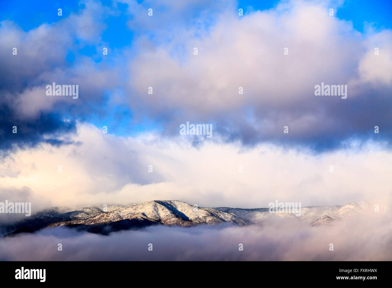 Wolke gehüllt Berggipfel auf Arizonas Mogollan Rim bei einem Wintersturm. Stockfoto
