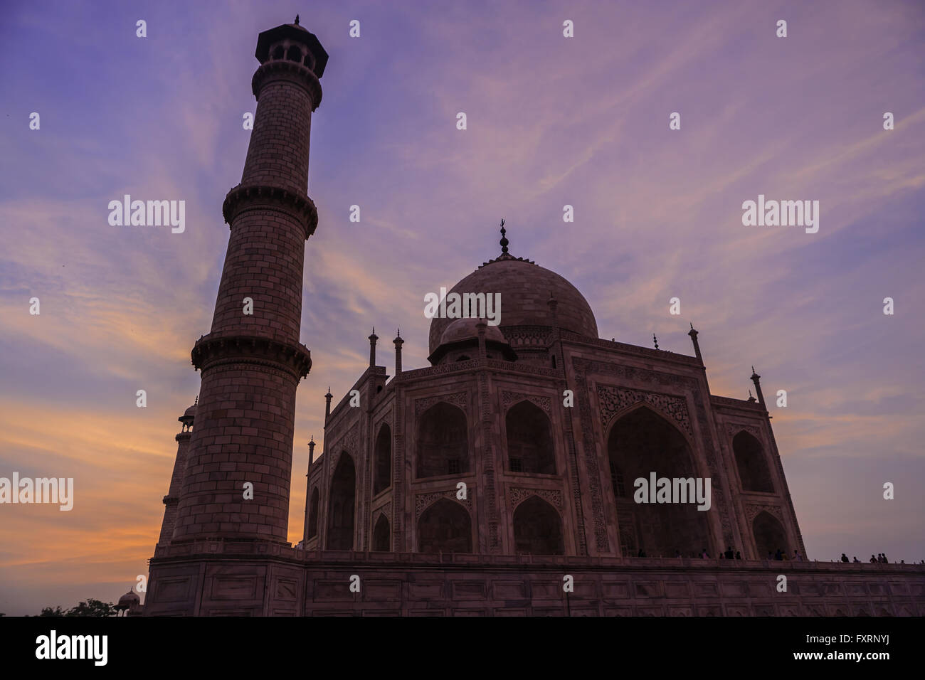 Taj Mahal, den berühmten Tempel in Indien Stockfoto