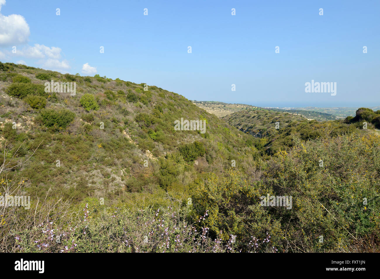 Chrysochou Tal Kritou Terra, mit Blick auf Chrysohou Bay & Polis, Zypern Stockfoto