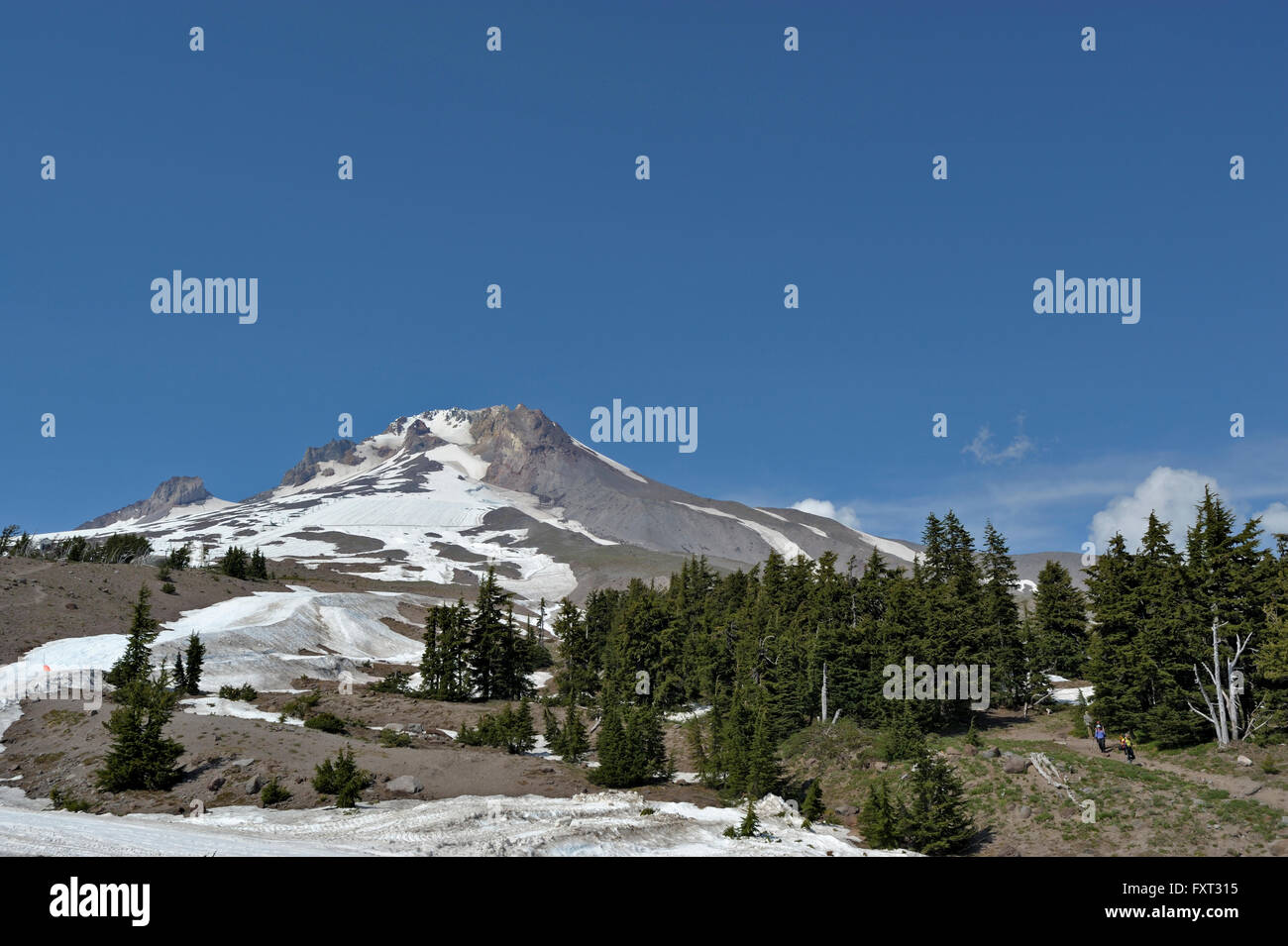 Aktiven Vulkan Mount Hood, Oregon, USA Stockfoto