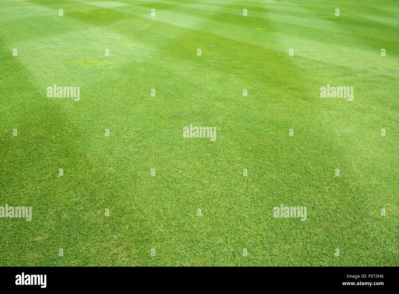 Rasen-Hintergrund der Sportplatz Stockfoto