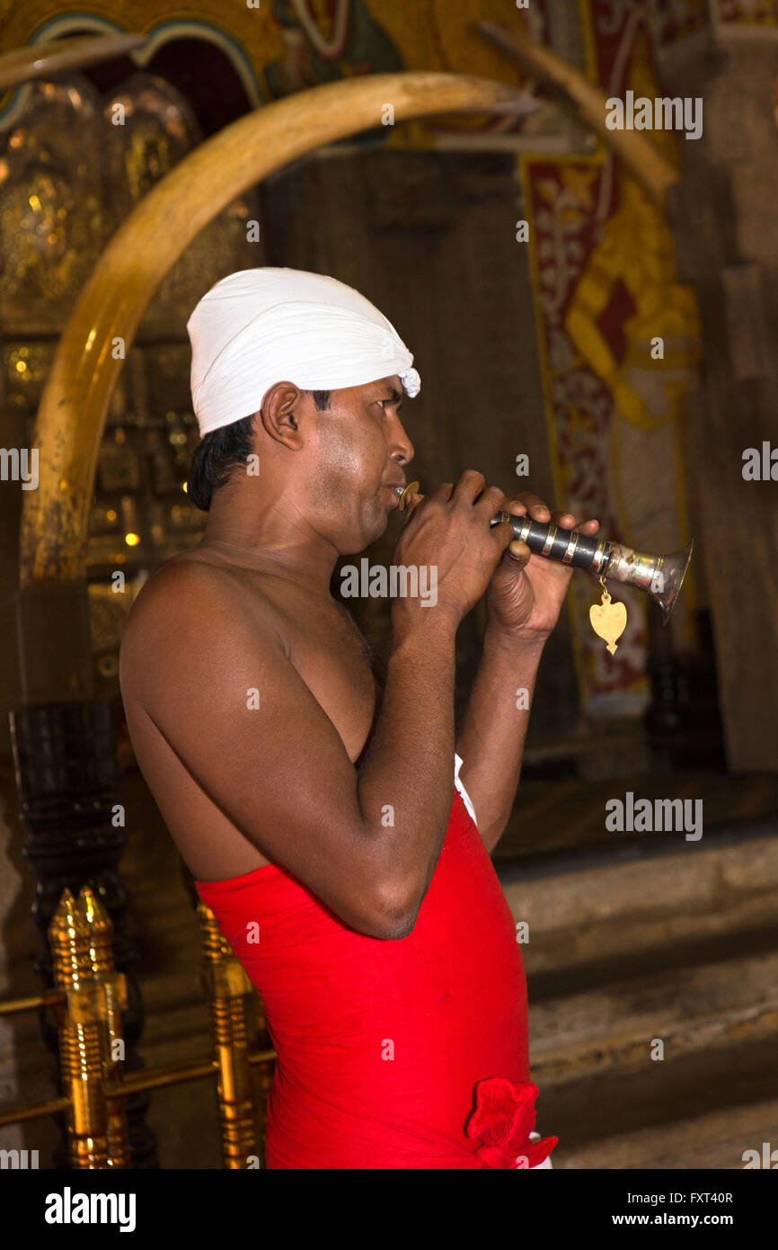Sri Lanka, Kandy, Tempel der Zahnreliquie, morgen Puja, Tevava Hornist Stockfoto