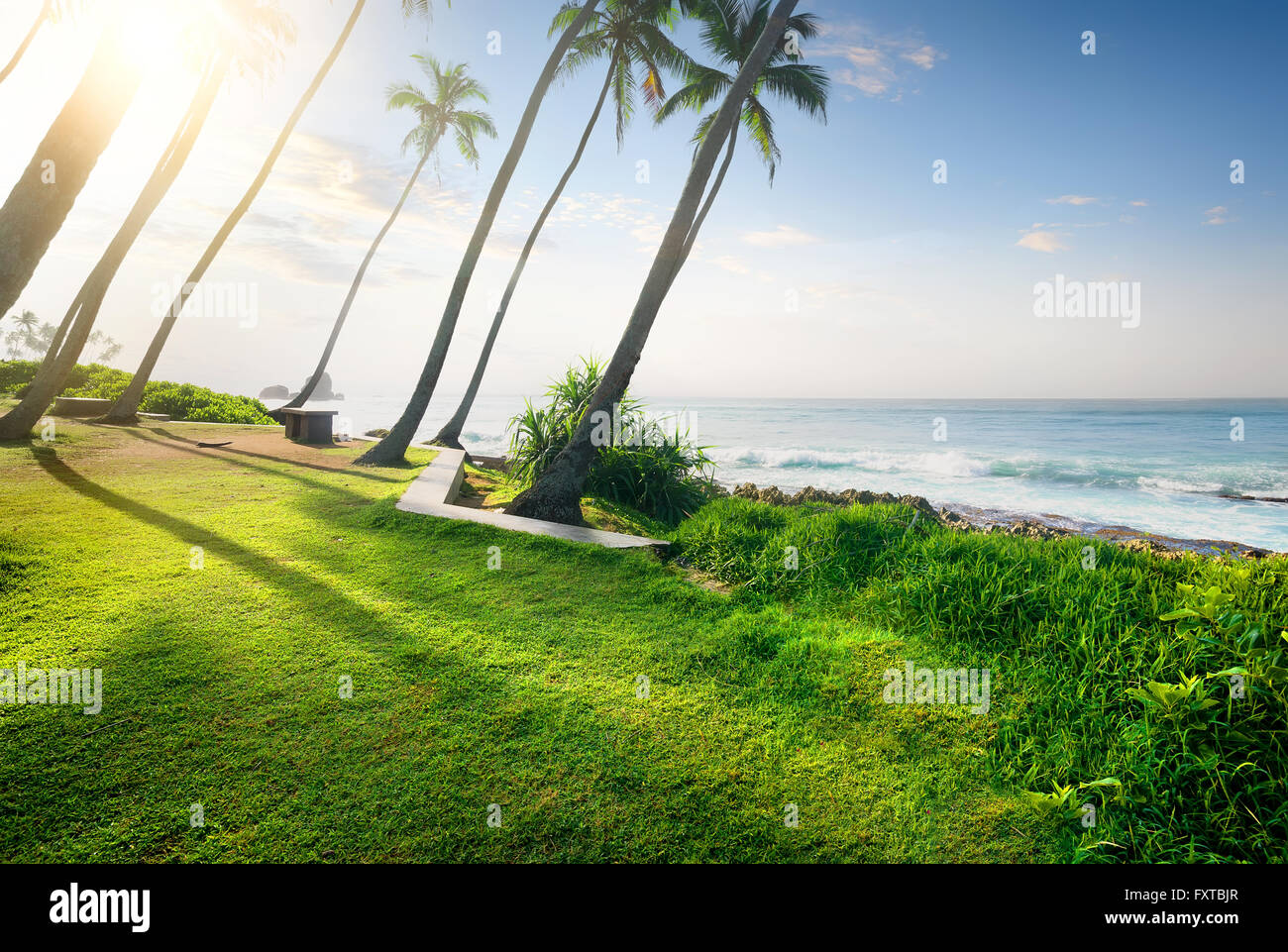 Bereich der grünen Rasen und Palmen am Meer, Sri Lanka Stockfoto