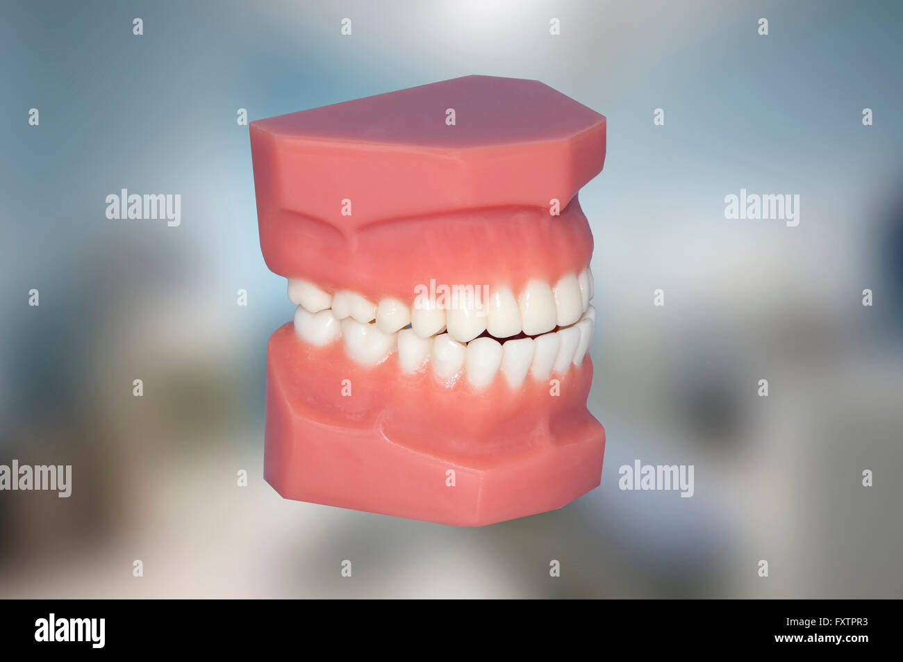 Zähne-Modell Lächeln Zahnpflege Stockfoto