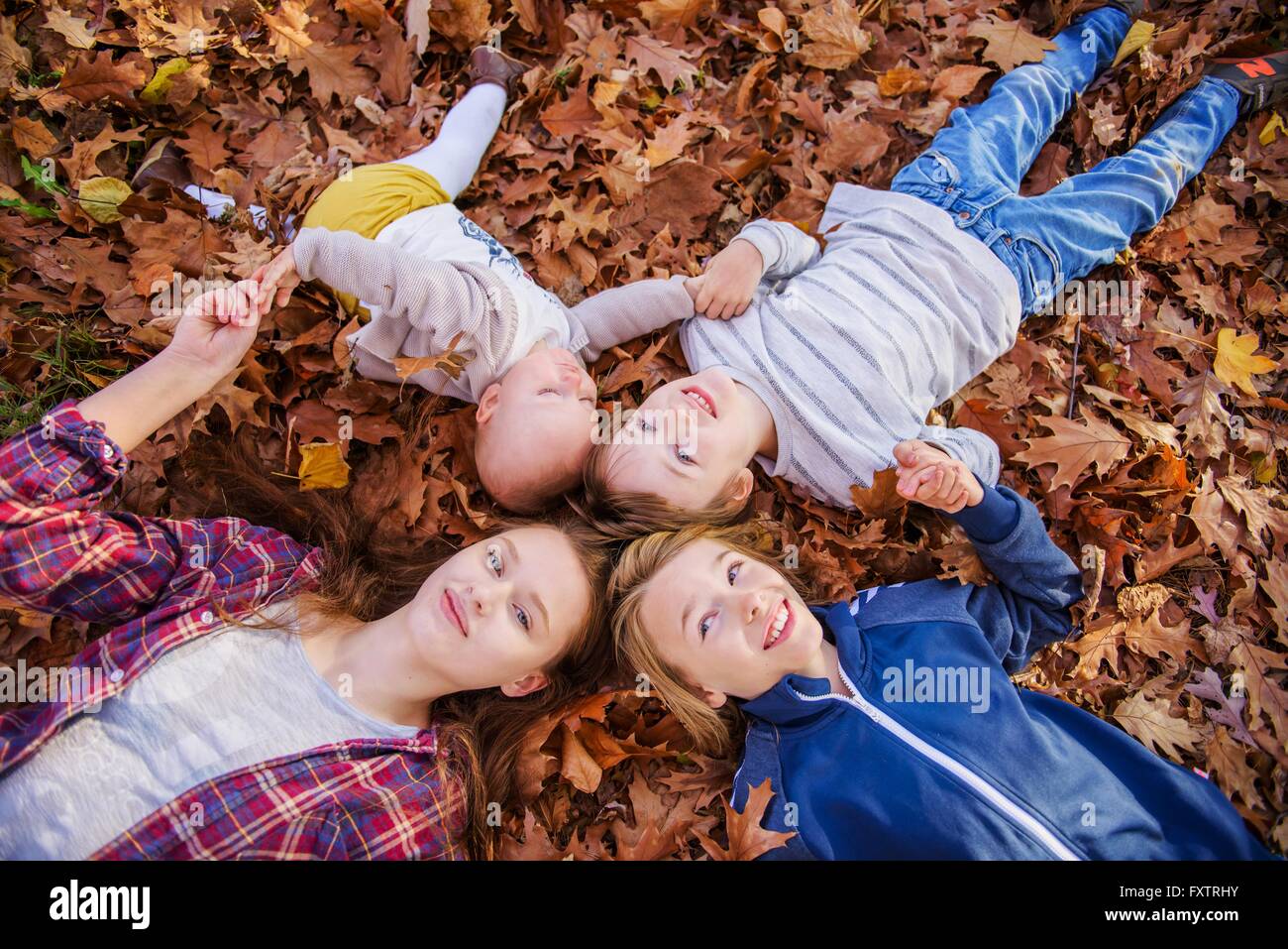 Vier Geschwister auf Herbstlaub liegend Stockfoto