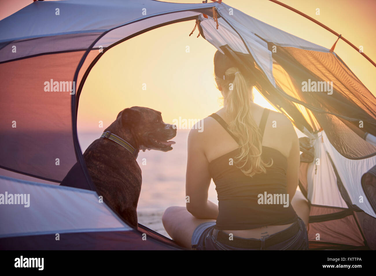 Frau und Hund im Zelt Stockfoto