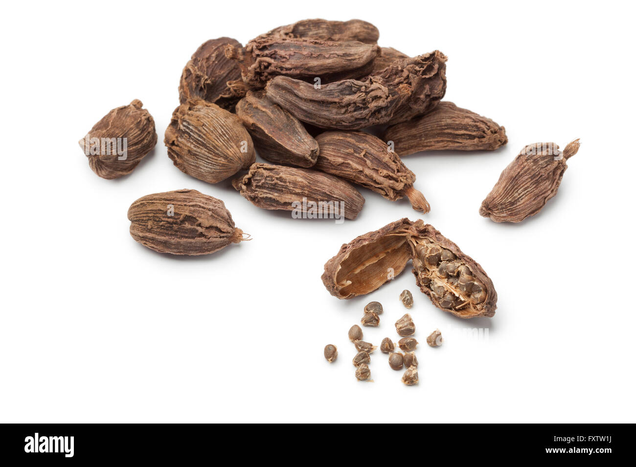 Schwarzer Cardamom Früchte und Samen auf weißem Hintergrund Stockfoto