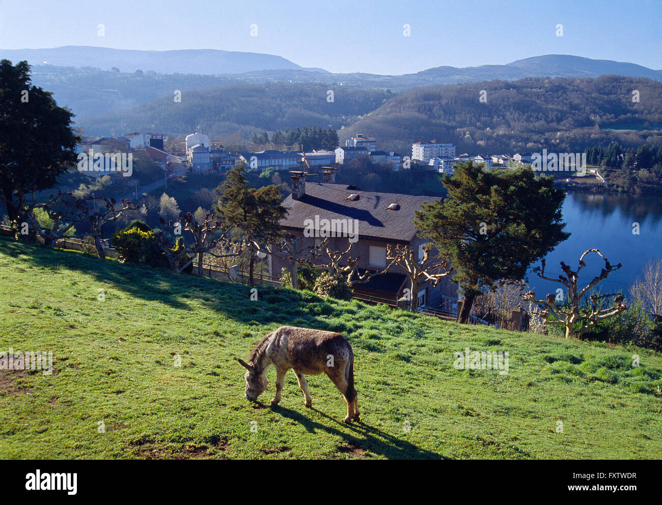 Viana Bolo, Orense Provinz, Galizien, Spanien. Stockfoto