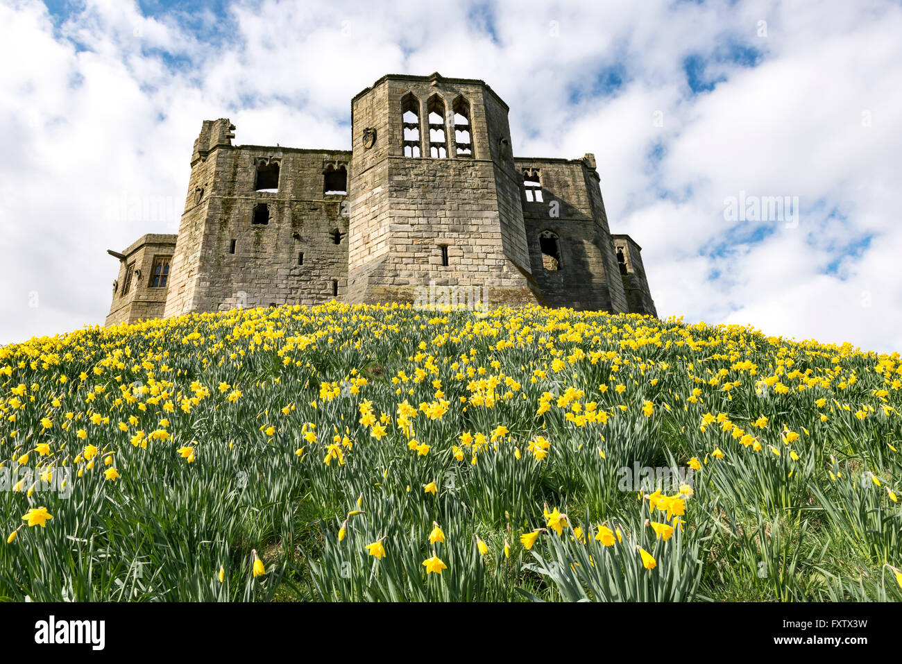 Warkworth Castle Stockfoto