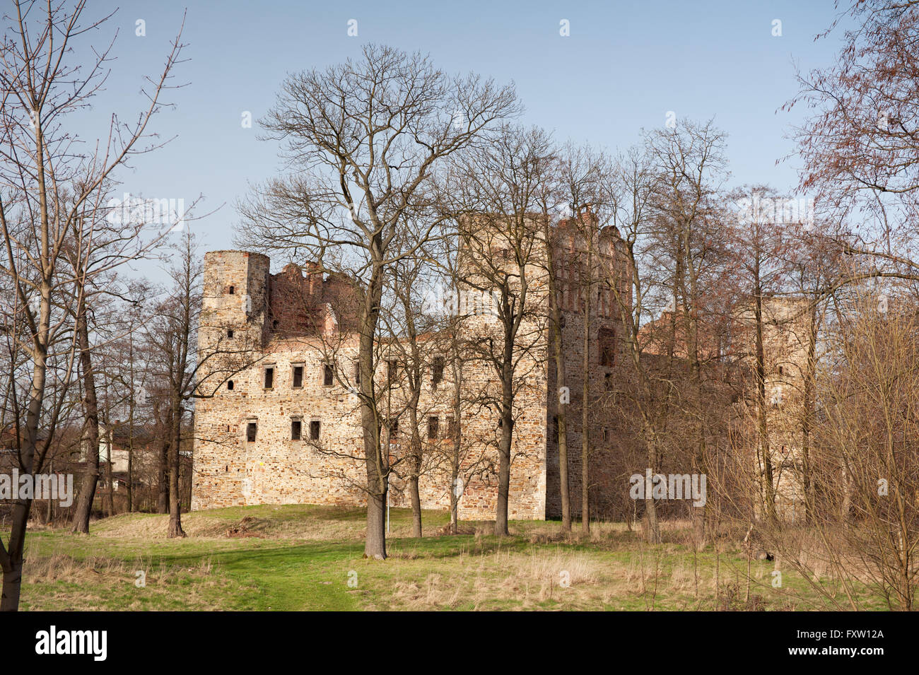 Antike Zamek w Drzewicy Ruinen, Schloss in Drzewica von 1527-1535 in Polen, Europa, Außenaufnahme, umgeben von einem Wassergraben. Stockfoto