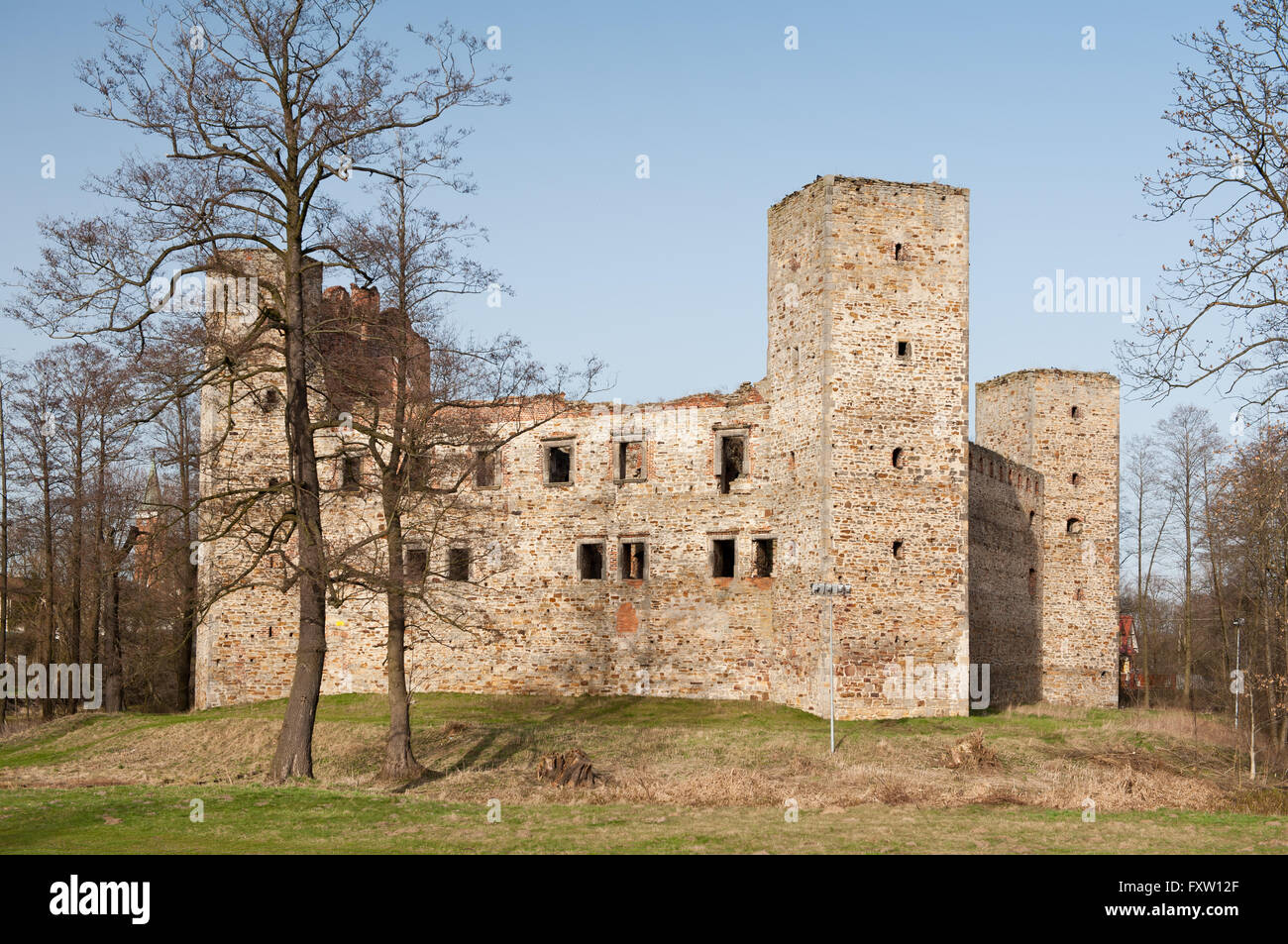 Alten Zamek w Drzewicy Ruinen, Schloss in Drzewica von 1527-1535 in Polen, Europa, Außenaufnahme, umgeben von einem Wassergraben. Stockfoto