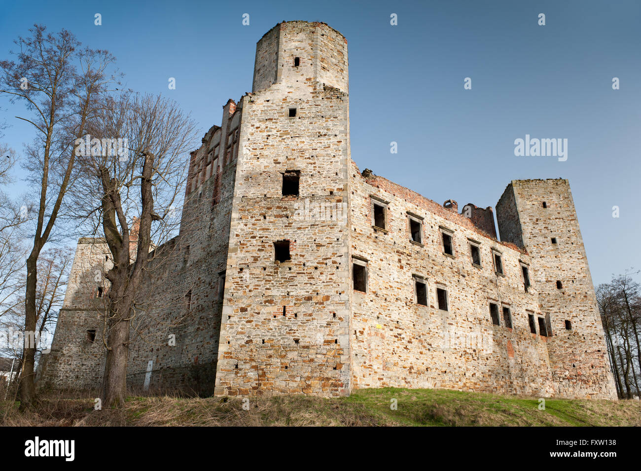 Blick auf Drzewica Burgruine, Zamek w Drzewicy von 1527-1535 in Polen, Europa, Sightseeing Gebäude, Ort zu reisen. Stockfoto