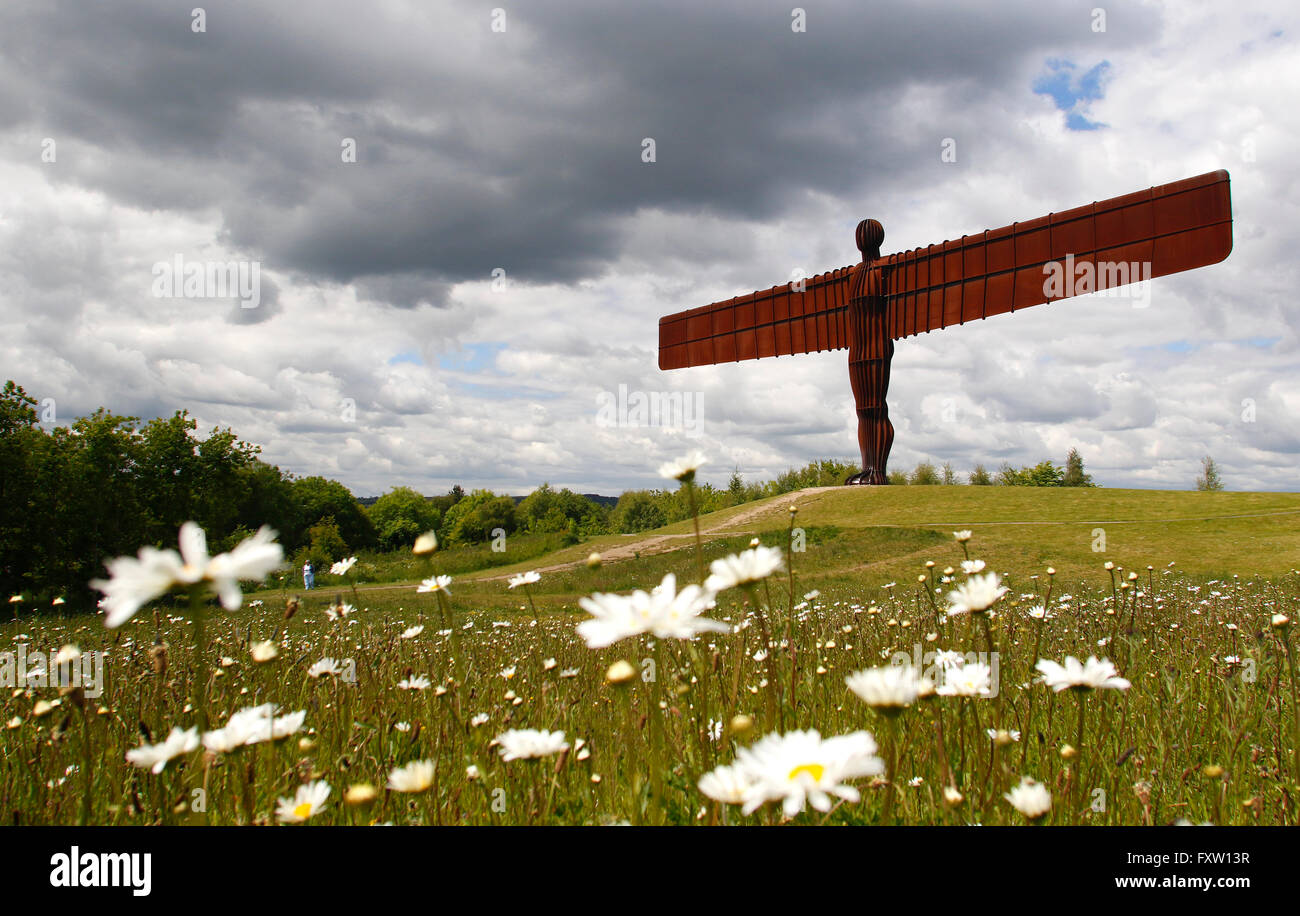 ANTONY GORMLEY Skulptur der Engel von der NORTH GATESHEAD & TYNE AND WEAR 9. Juni 2015 Stockfoto