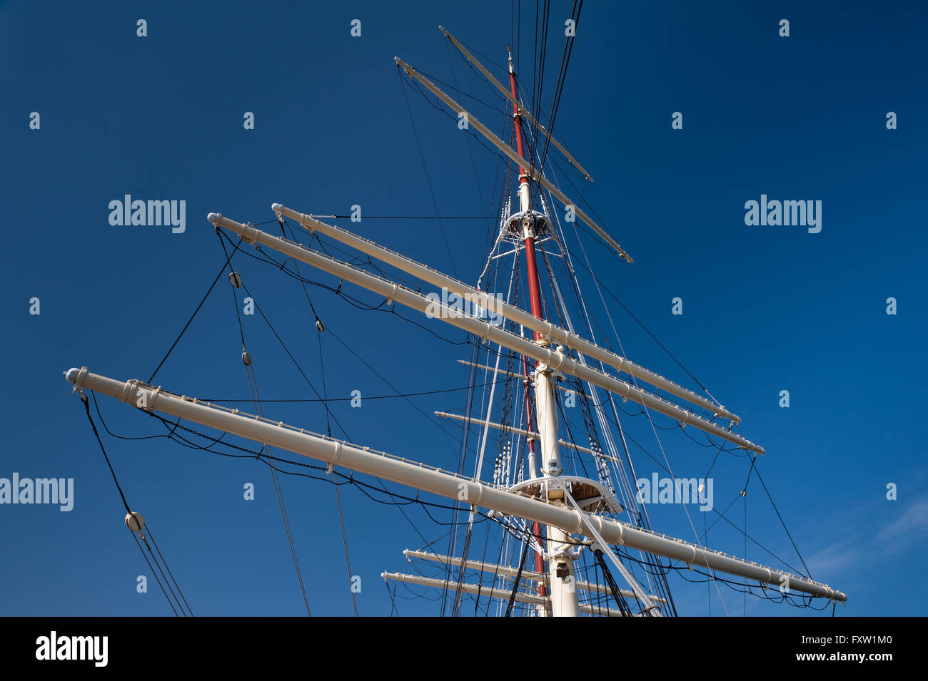Dar Pomorza Schiff Krähen nisten an den Mast des Schiffes in Gdynia, Polen, Europa, Ostsee, legendären polnischen The White Fregatte Stockfoto