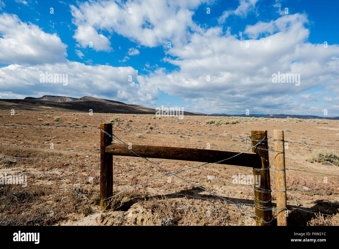 Stacheldrahtzaun und Holzzaun Pfosten entlang Highway 50, die einsamste Straße in Amerika, in Nevada. Stockfoto