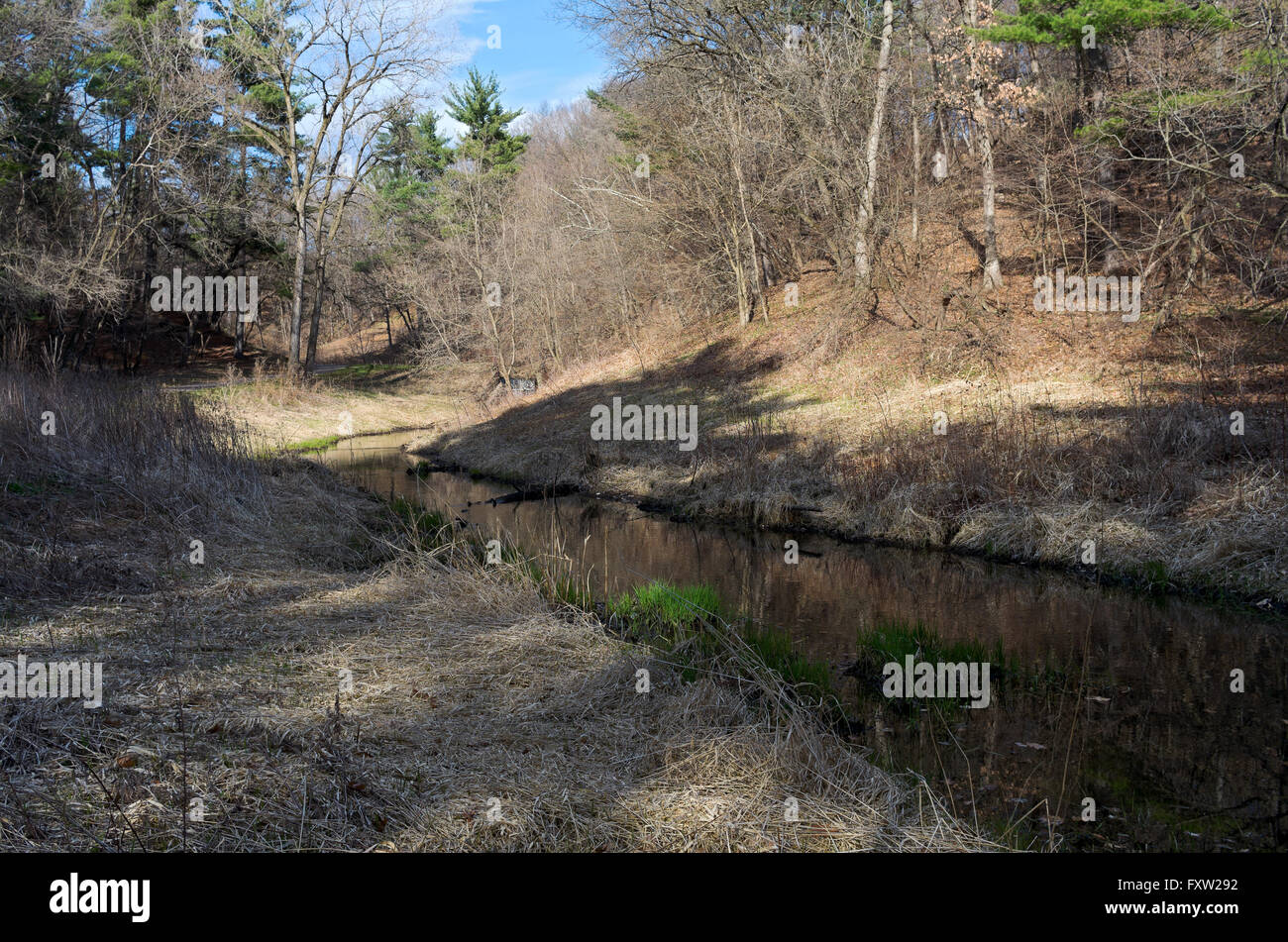 Battle Creek Regionalpark szenischen entlang der Strecke und mäandernden Bach fließt durch Wald Stockfoto