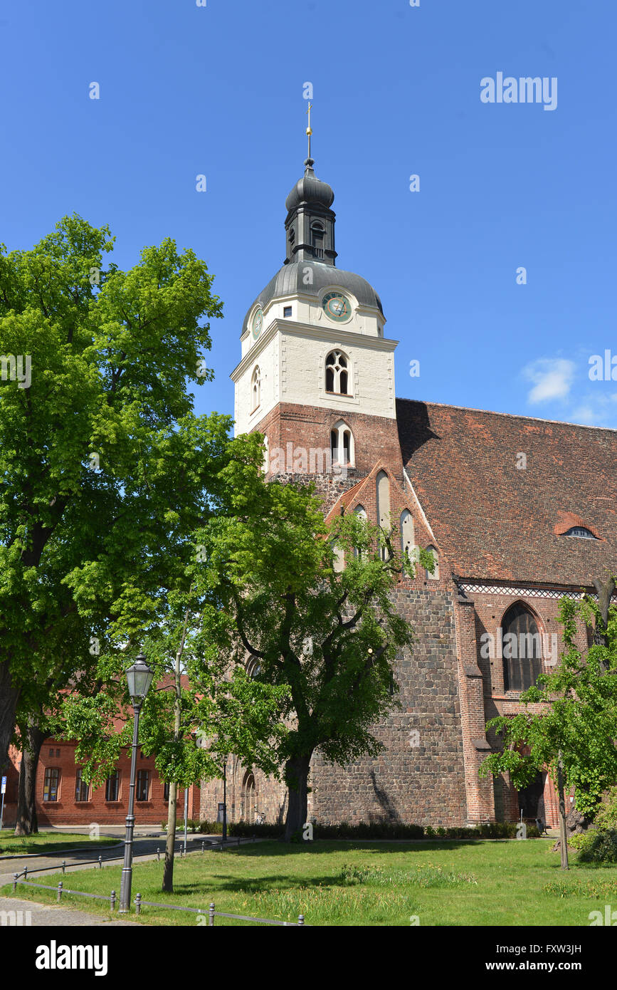 St.-Gotthard-Kirche, Brandenburg an der Havel, Brandenburg, Deutschland Stockfoto
