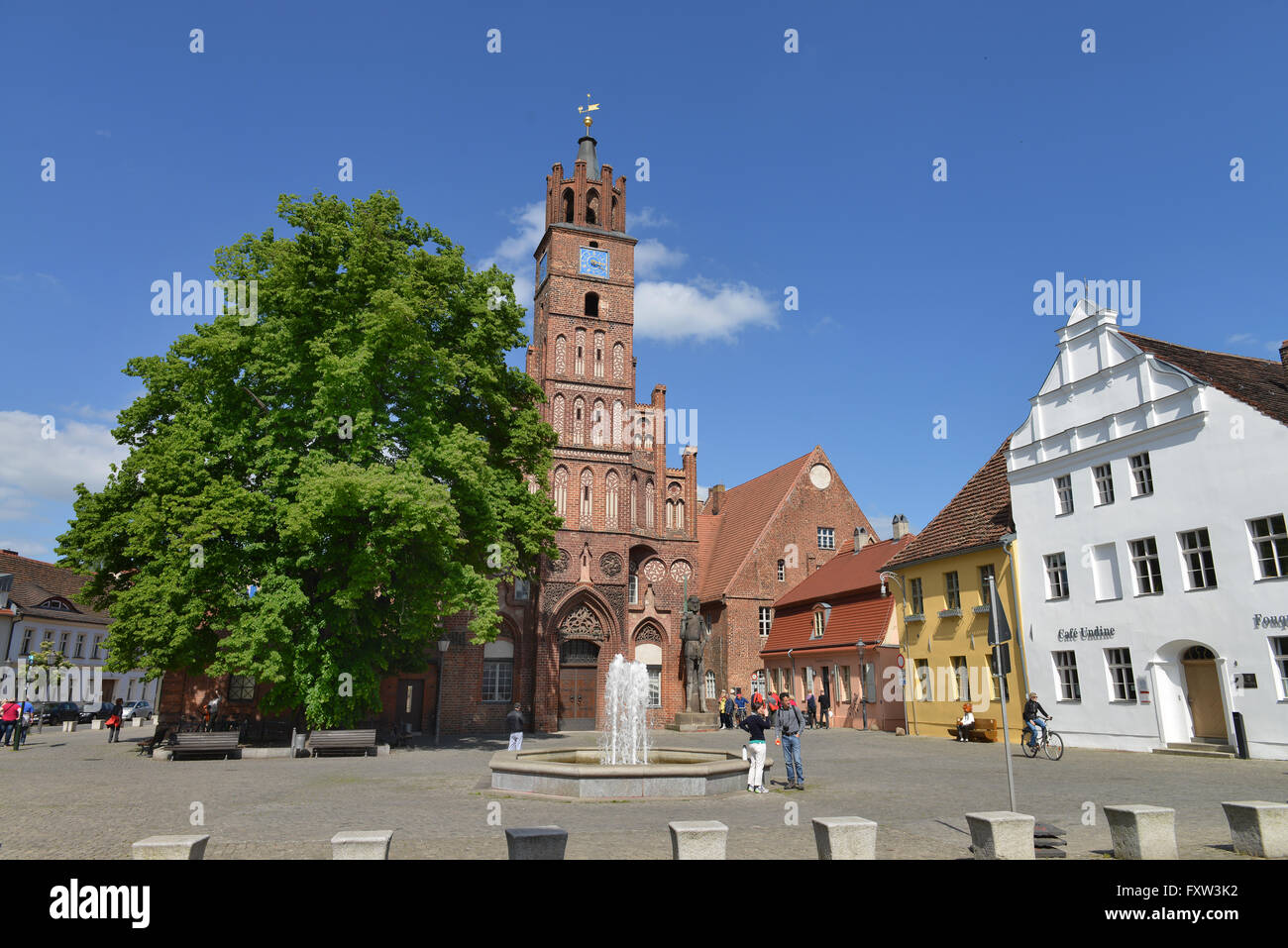 Rathaus, Altstaedtischer Markt, Brandenburg an der Havel, Brandenburg, Deutschland Stockfoto