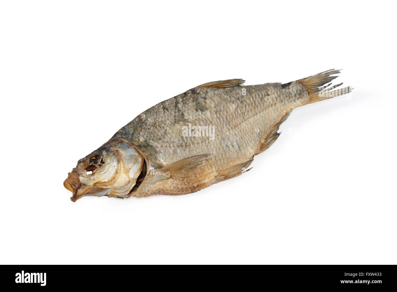 Lebensmittel, Meeresfrüchte, Fische, gesalzen, weiß, Salz, getrocknete, isoliert, traditionell, Gourmet, Essen, trocknen, Eiweiß, salzig, niemand, Tier, fr Stockfoto
