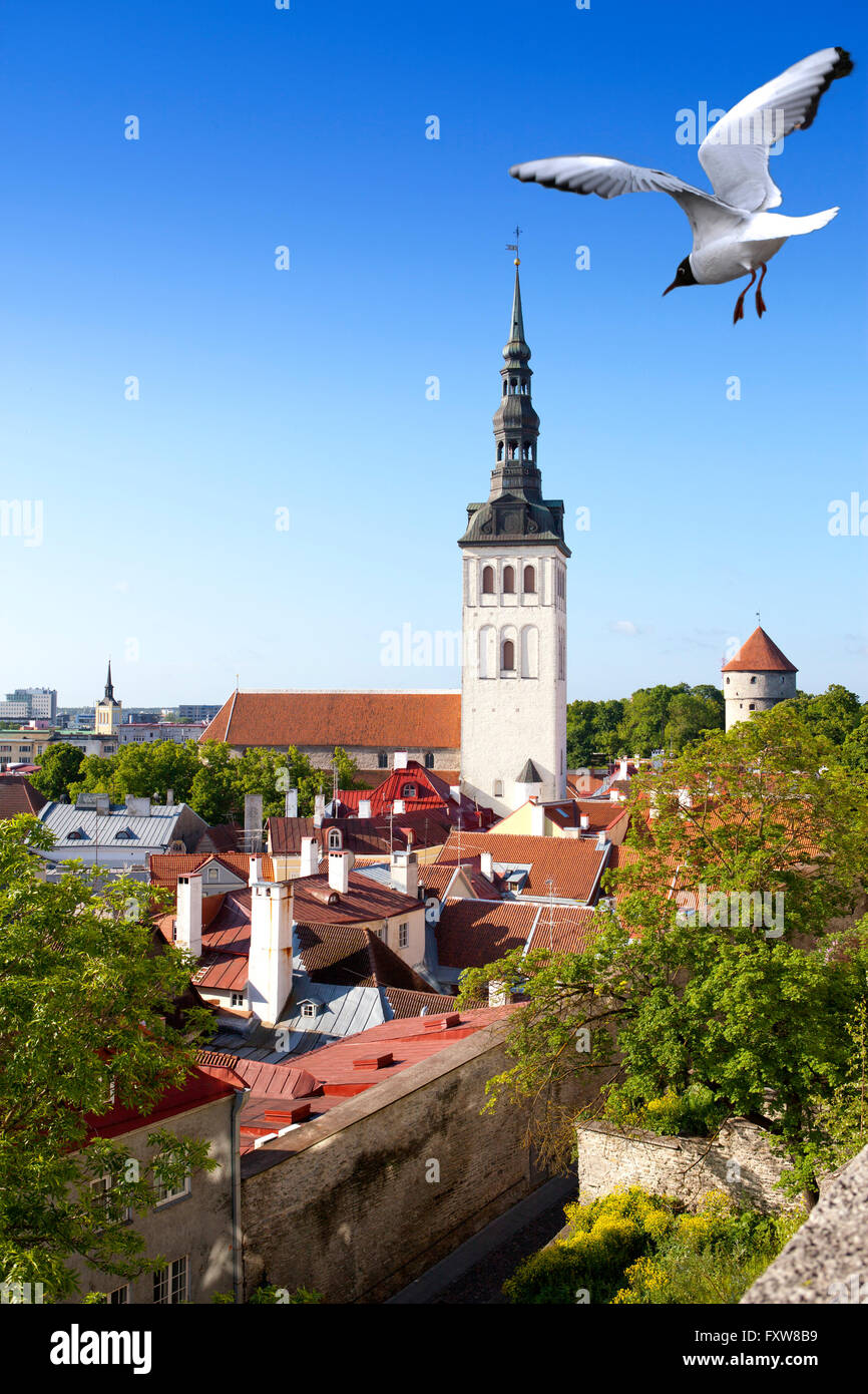 Blick auf St.-Nikolaus Kirche (Niguliste). Altstadt, Tallinn, Estland Stockfoto
