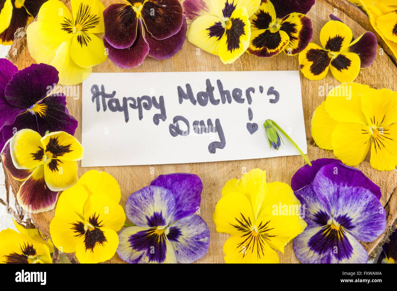 Glückliche Mütter-Tageskarte mit violetten und gelben Blüten Stockfoto