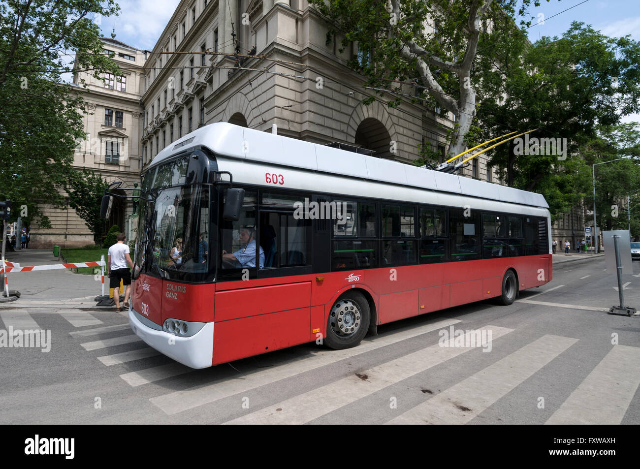 Ein moderner Trolleybus Service in Budapest, Ungarn Stockfoto