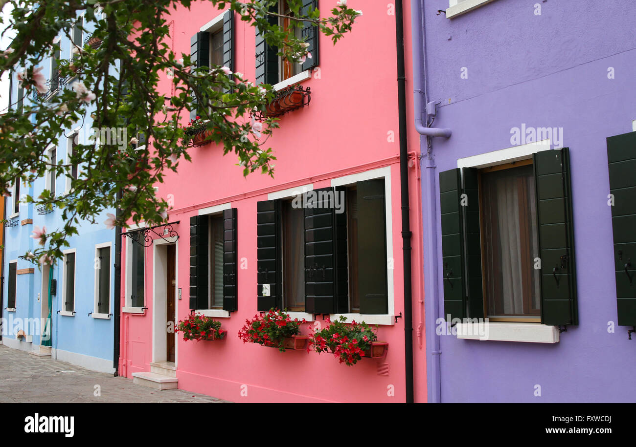 Rosa & blauen Häuser BURANO Venedig Italien 3. August 2014 Stockfoto