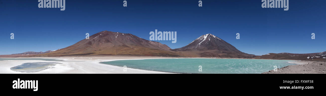 Bolivien - 20.08.2013 - Bolivien / Uyuni - Lagunes, Herde von Lamas - Sandrine Huet / Le Pictorium Stockfoto