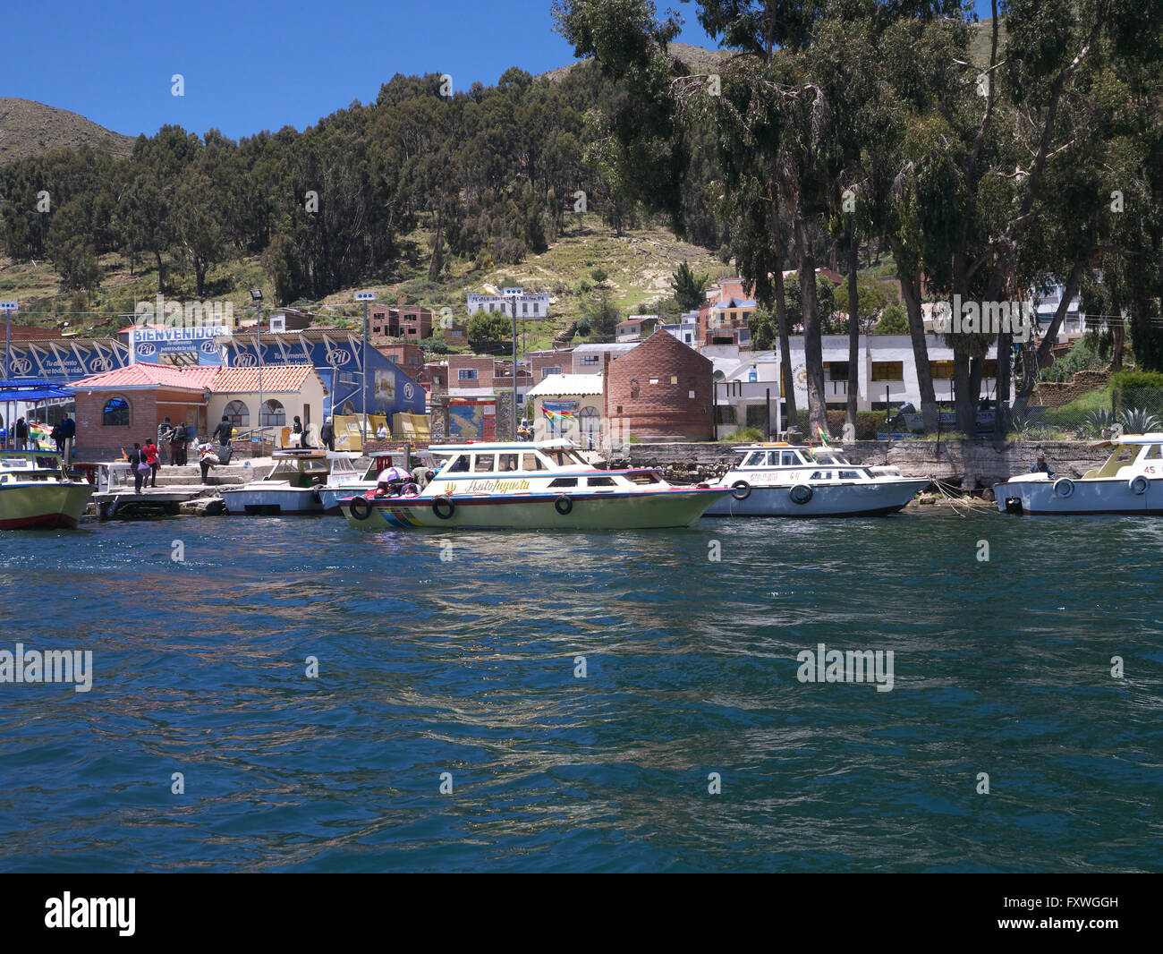 Insel auf dem Titicacasee mit Inka-Website und Terrassen-Bolivien Stockfoto