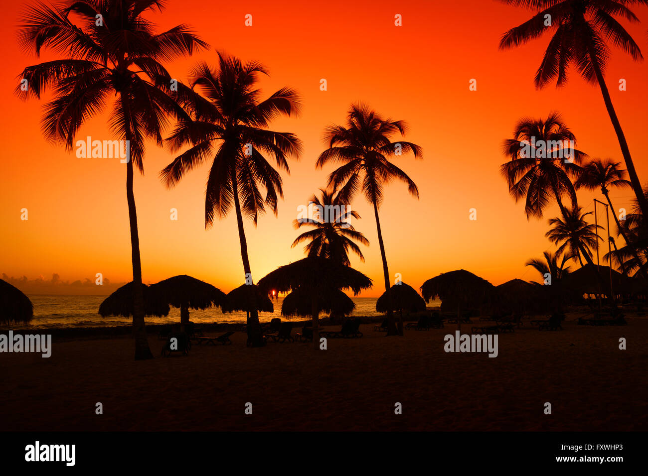 Sonnenuntergang am Karibik-Strand mit Silhouette der Palmen Stockfoto