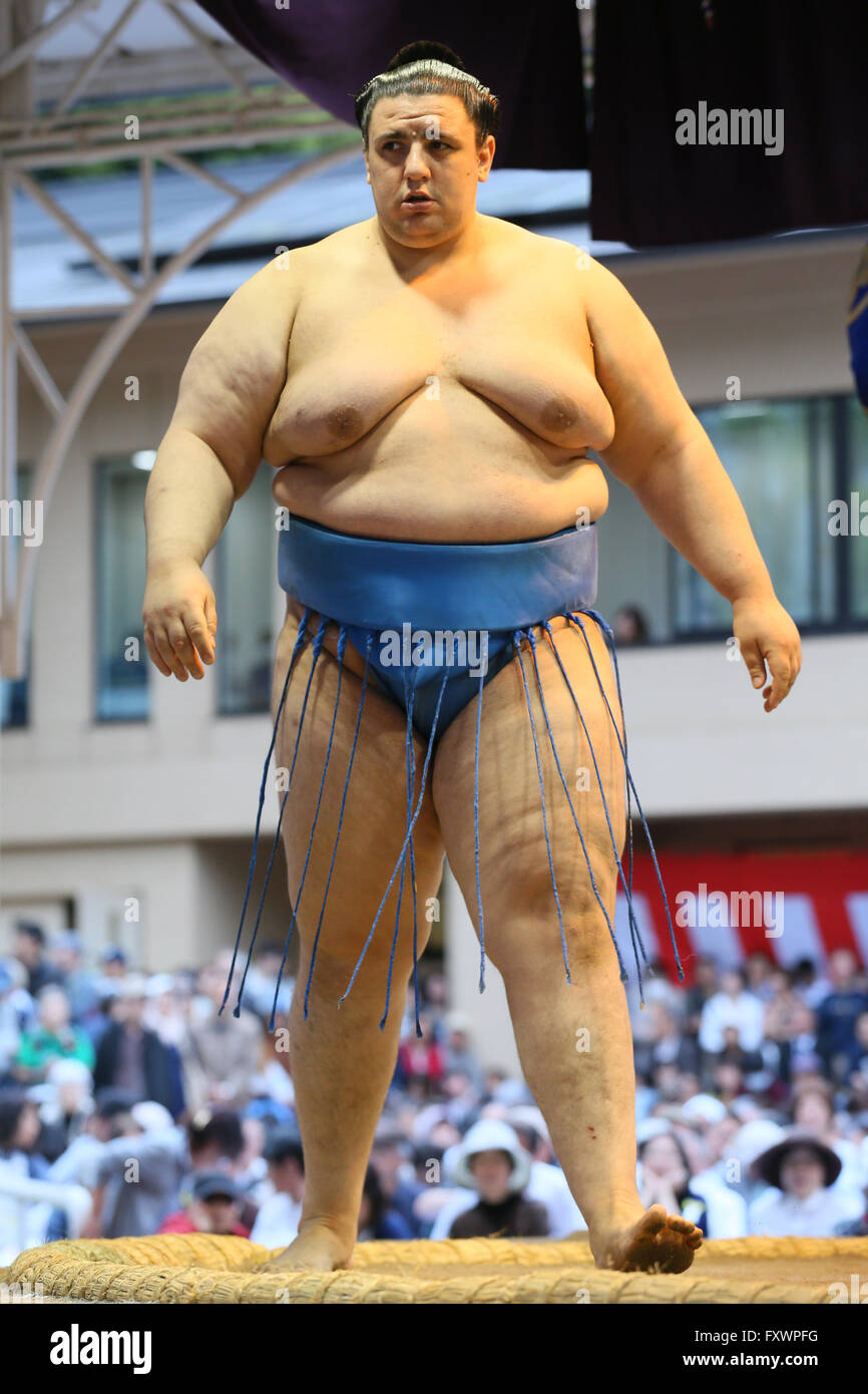 Tokyo Japan. 18. April 2016. Aoiyama, 18. April 2016 Sumo Jährliche