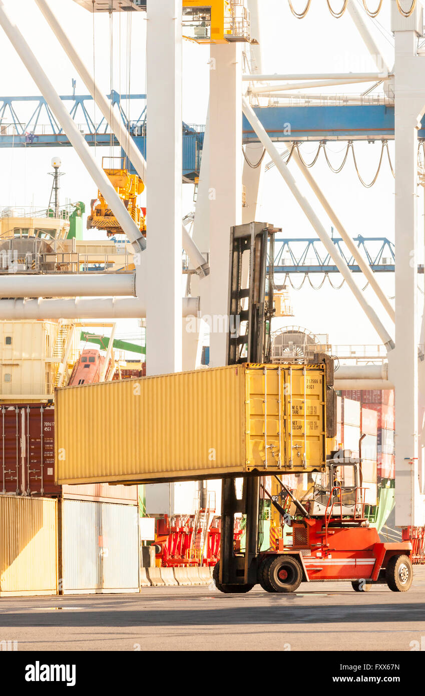 Gabelstapler, Lkw Be- und Entladung von Containern im Hafen terminal Stockfoto